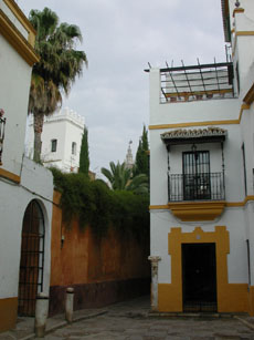 Les ruelles troites et les maisons blanches du quartier de la Juderia